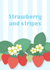 strawberry and stripes/light blue