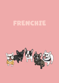 frenchie1 - coral