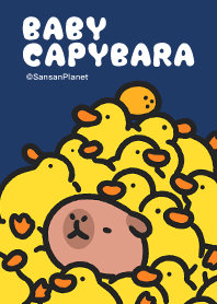 Baby capybara and baby ducks theme