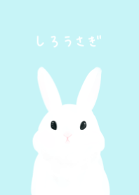 ふんわりしろうさぎ