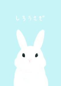 white rabbit -fleecy-