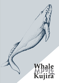Majestic Whale _ Baby blue