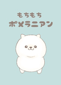 もちもちポメラニアン