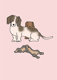 狗 臘腸犬_粉紅色