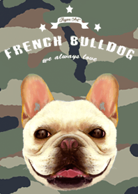 french bulldog coming-camo style