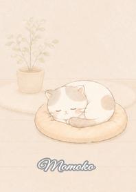 Cozy Lazy Cat: Momoko