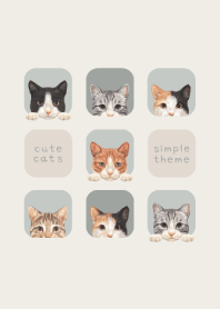 CATS - Mixed breed cat 01 - SKY GRAY