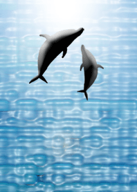 ●イルカーdolphin