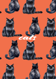 Black cat resting on red & yellow