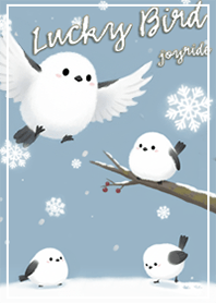 Lucky BirdLong-tailed Tit1_1