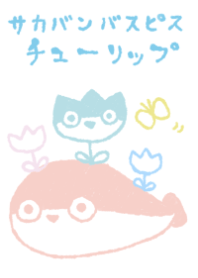 sacabambaspis tulip refreshing