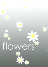 白と黄のお花の着せかえ