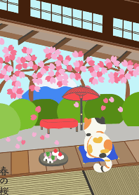 Japanese Style 3-Garden and Cat-spring