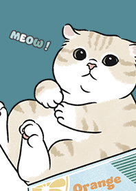 neko single17 - neil blue