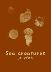 Sea crt kashoku
