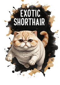 Exotic Shorthair So Cool Theme 2 (JP)