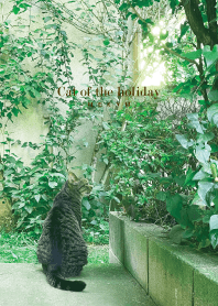 Cat of the holiday -GREEN- 10