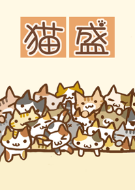 Cat special portion No.14