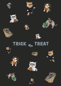 meows' game / black