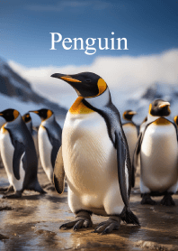 "Penguin vol.2" theme