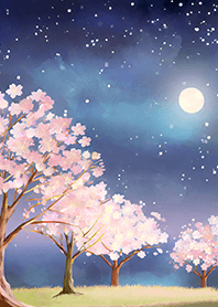 Beautiful night cherry blossoms#317