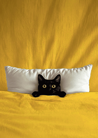 Fun playful cat  blanket-Black Cat1O