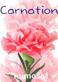 *Flower* Carnation #03-4