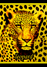 Golden shining leopard