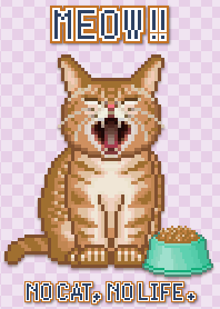 MEOW!! (2)