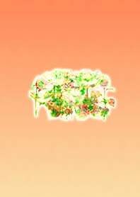 オレンジの花園