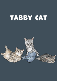 tabbycat5 / indigo
