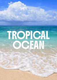 TROPICAL OCEAN THEME 18