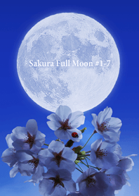 Sakura Full Moon #1-7
