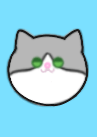 rinrin123