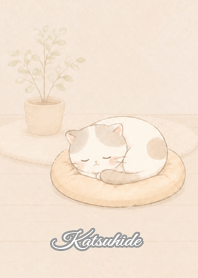 Cozy Lazy Cat: Katsuhide