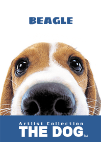 THE DOG Beagle 2