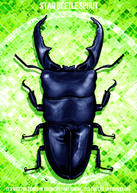 Stag beetle spirit 2