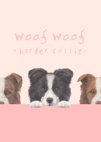 Woof Woof - Border Collie - FLOWER PINK