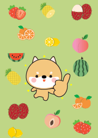 Cute Shiba Inu And Fruit