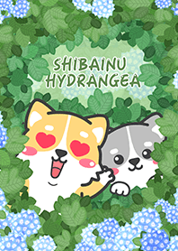 柴犬奴醬 7 - 繡球花夢幻綻放 !