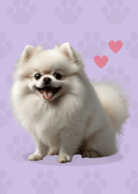Cute Pomeranian Theme Purple 04