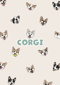 corgicorgi6 - cream
