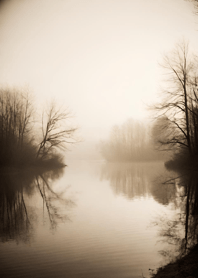 Misty tranquil lake FE6906