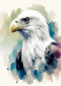 king of sky