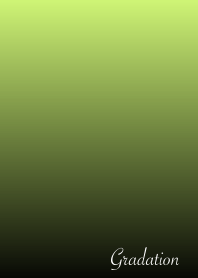 The Gradation No.1-B33