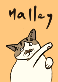 我是哈雷不是哈登 入侵主題