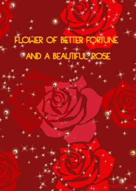 幸運の美しいバラ レッド