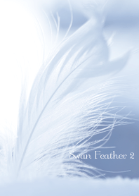 Swan Feather 2