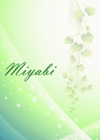 No.0143Miyabi Beautiful Lucky Theme