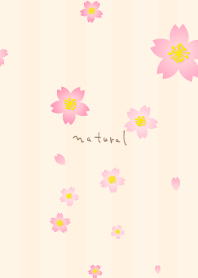 Cherry blossom dance season5 from Japan